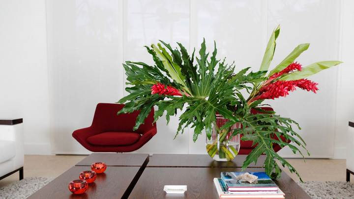 Green Branches And Flowers in Glass on Table